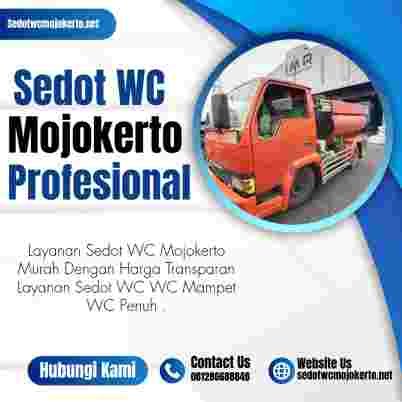 Sedot WC Mojokerto Profesional